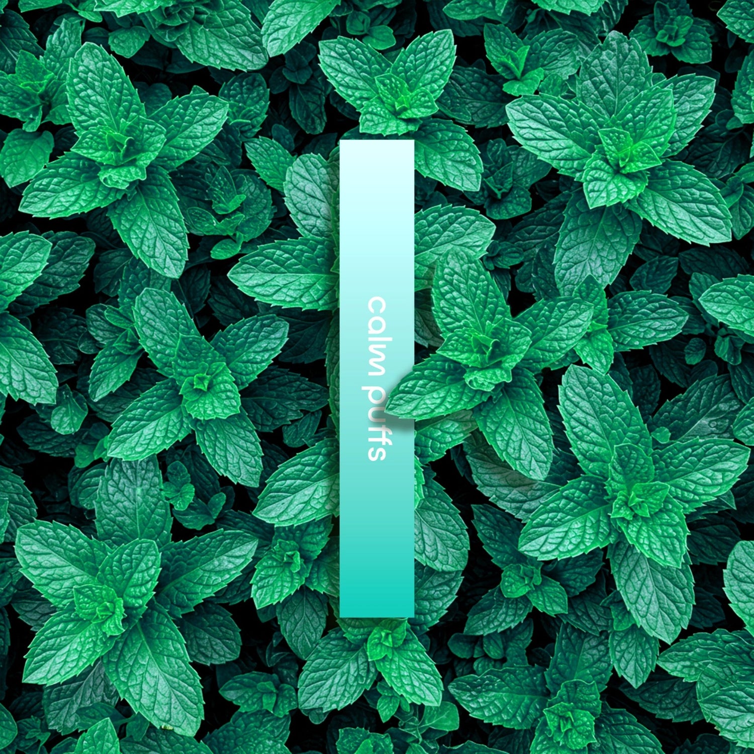 Calm Puffs Spearmint caffeine diffuser stick for clear focus, plant-based device, 500