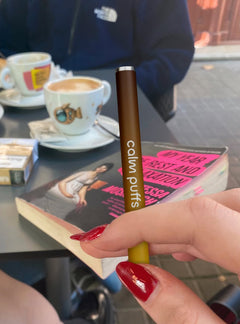 Iced Latte plant-based diffuser offering energizing aroma therapy