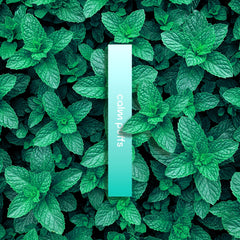 Calm Puffs Spearmint caffeine diffuser stick for clear focus, plant-based device, 500